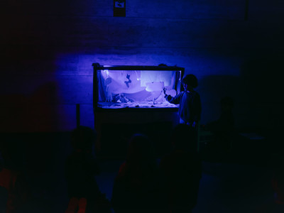 Element 23 de la galeria