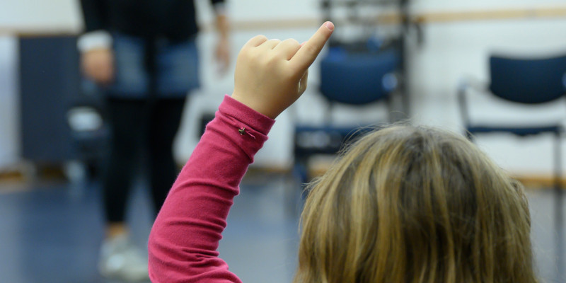 Com dius? Primària 26-27