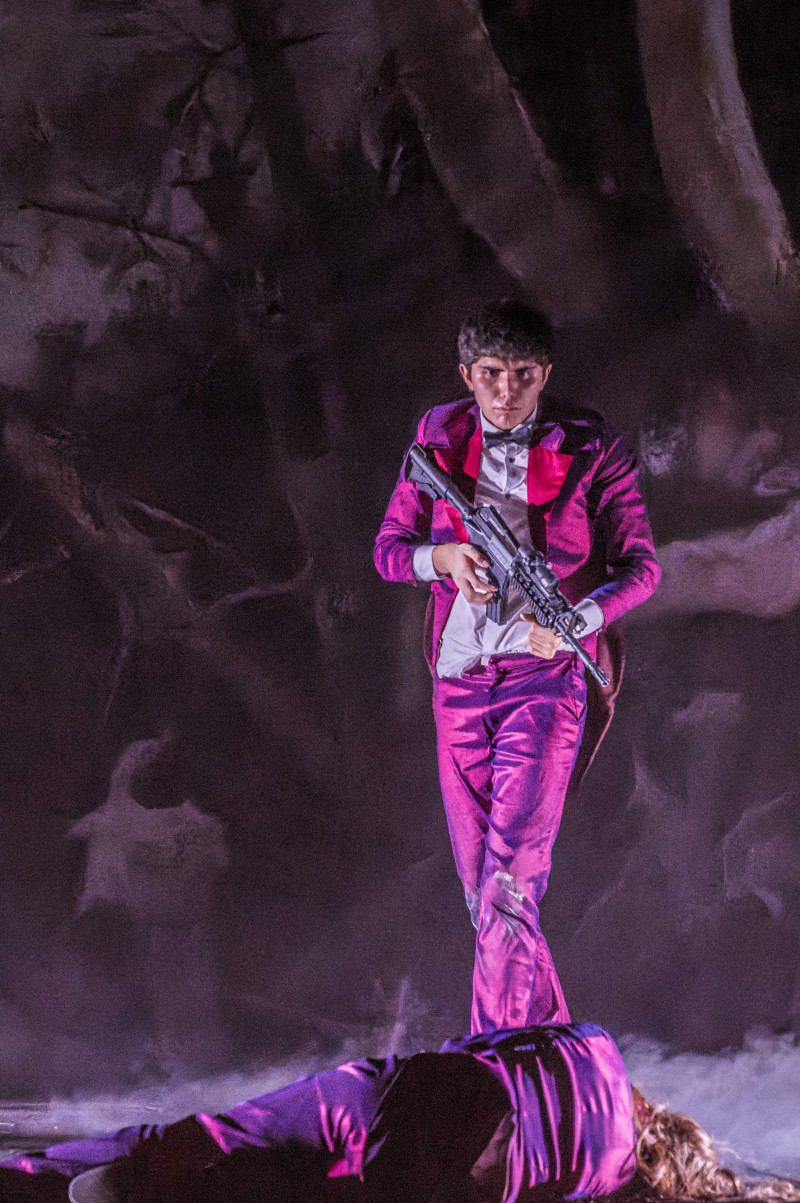 Element 5 de la galeria