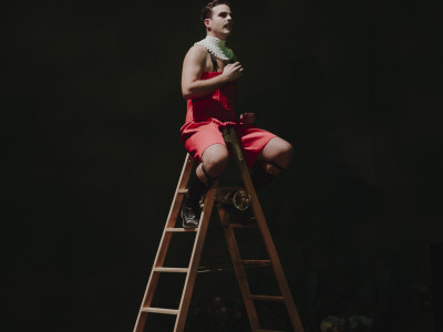 Element 9 de la galeria