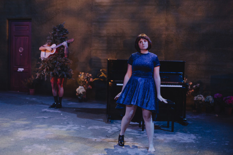 Element 10 de la galeria