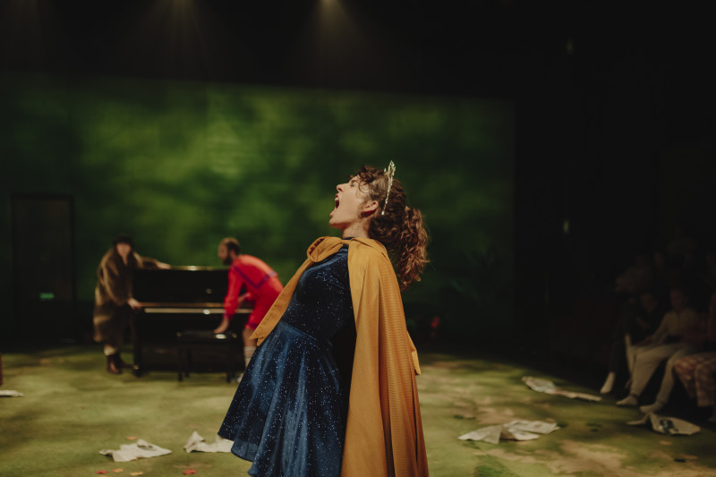 Element 13 de la galeria