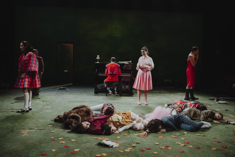 Element 18 de la galeria