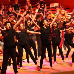 Dossier pedagògic de Somnis de Músic