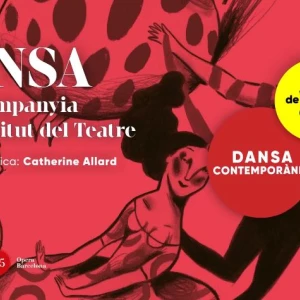 Un cop d&#039;ull al projecte educatiu: IT Dansa