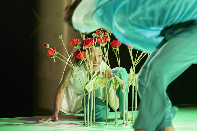 Element 2 de la galeria