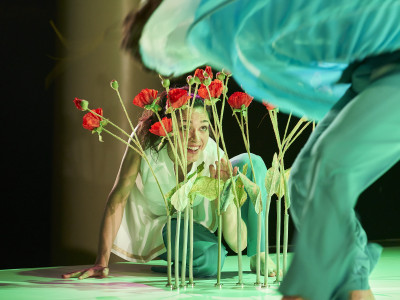 Element 2 de la galeria