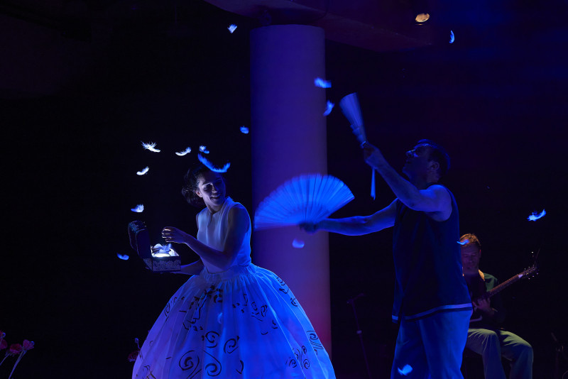 Element 5 de la galeria