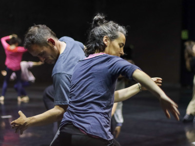 Element 5 de la galeria