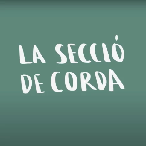 La secció de corda