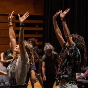 Vídeos del taller de dansa - 2a jornada de formació