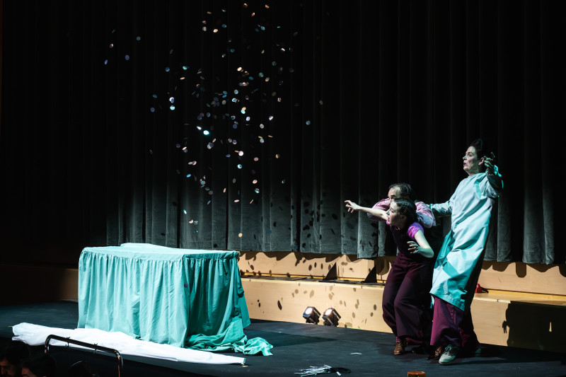 Element 5 de la galeria