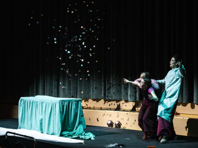 Element 5 de la galeria