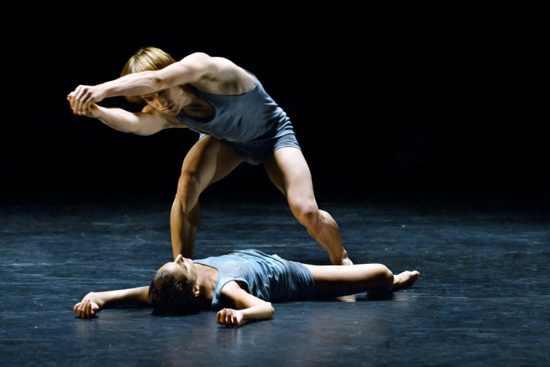 Element 3 de la galeria