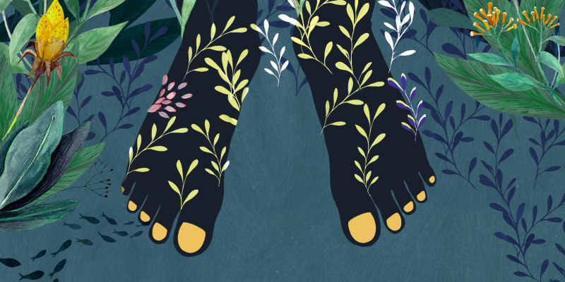 Kimu (La casa de todos)