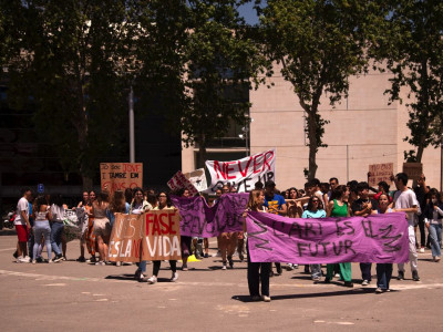 Element 2 de la galeria