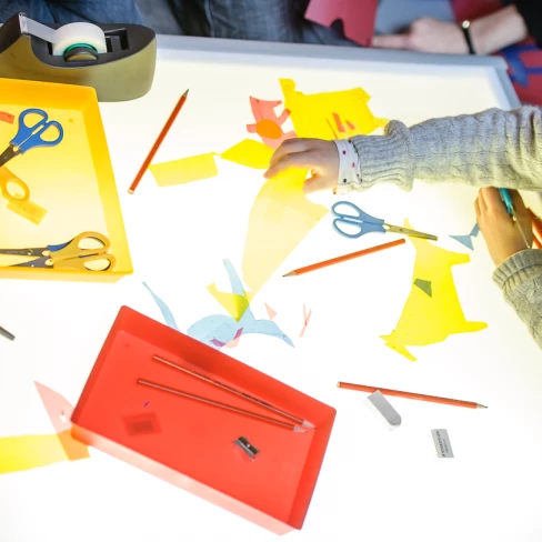 Visitem i experimentem el Palau (de P5 a EP2, 5-10 anys)