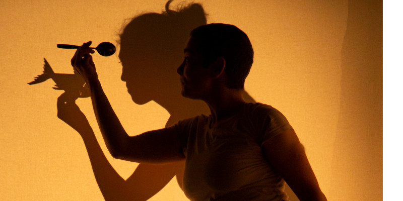 Schattenwerfer (L’ombra de les coses)