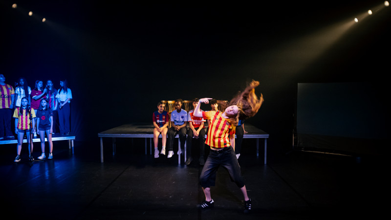 Element 6 de la galeria