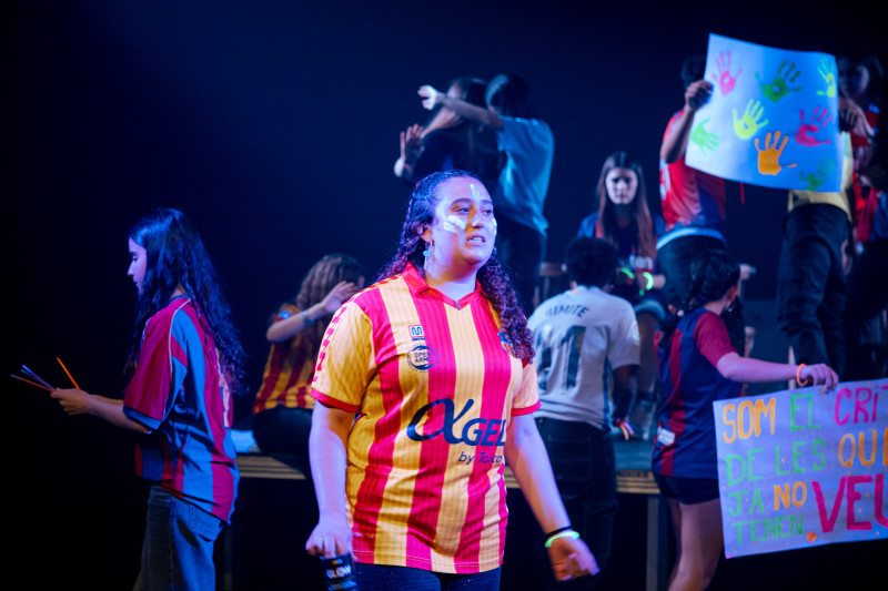 Element 13 de la galeria