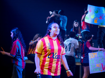 Element 13 de la galeria