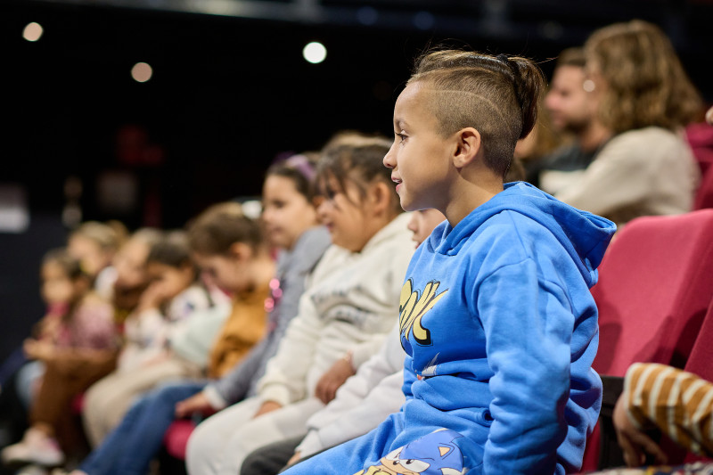 Element 5 de la galeria