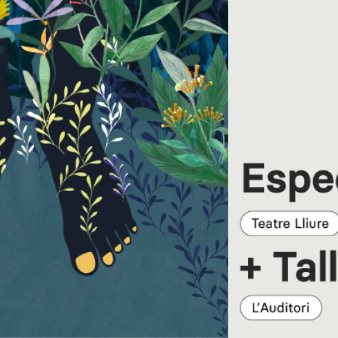 Espectacle Kimu (La casa de todos) en itinerari