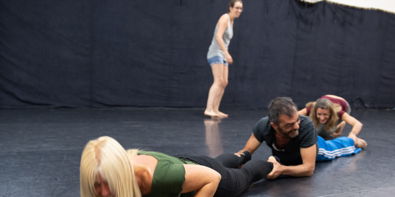 Dansa teatre. Jornades formatives per a docents