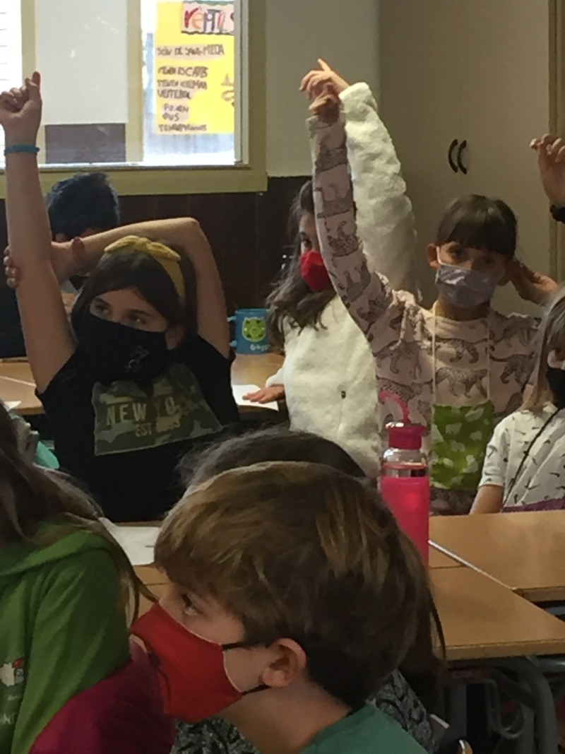 Element 3 de la galeria