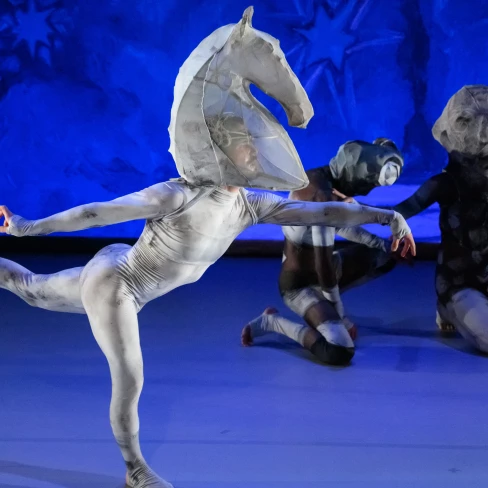 Projecte La nit de Sant Joan