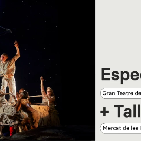 Espectacle La Torre dels Somnis en itinerari