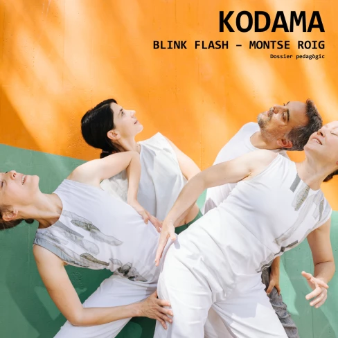 Dossier pedagògic Kodama