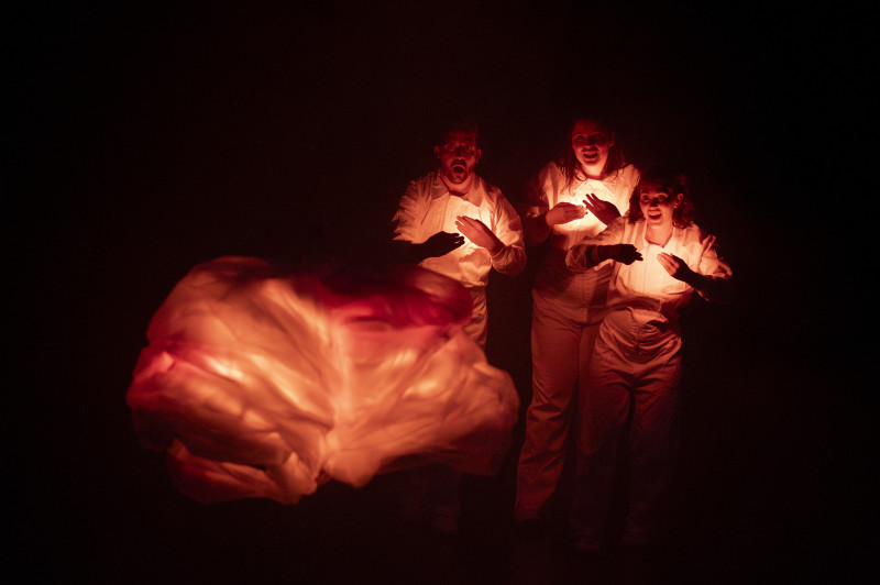 Element 1 de la galeria