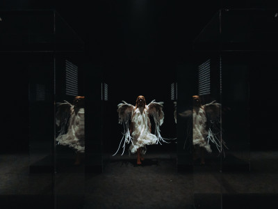 Element 6 de la galeria