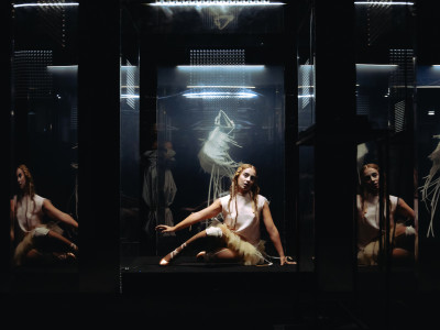 Element 8 de la galeria