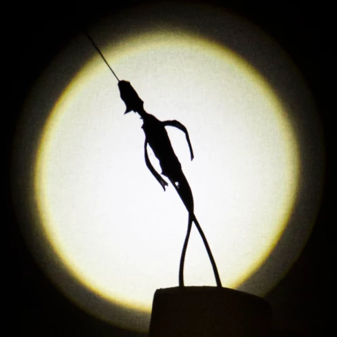 Dossier de petites crítiques. Schattenwerfer (L&#039;ombra de les coses) 