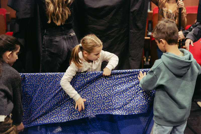 Element 5 de la galeria