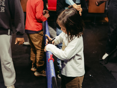 Element 6 de la galeria