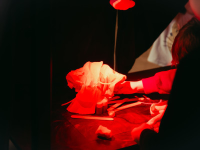 Element 7 de la galeria