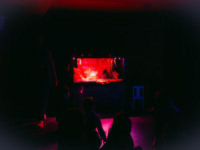 Element 21 de la galeria