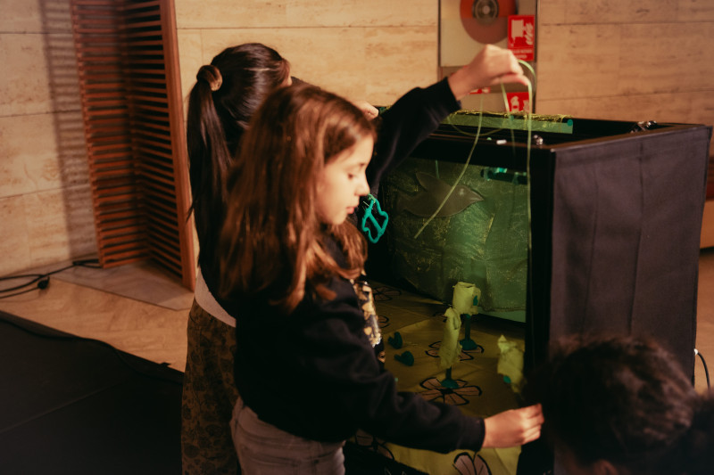 Element 22 de la galeria