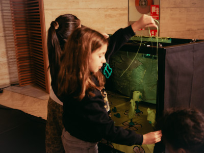 Element 22 de la galeria