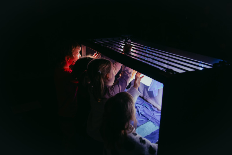 Element 30 de la galeria