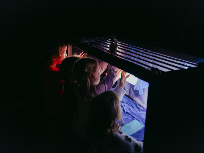 Element 30 de la galeria