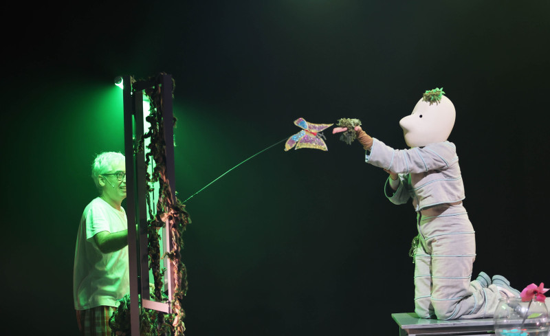 Element 6 de la galeria