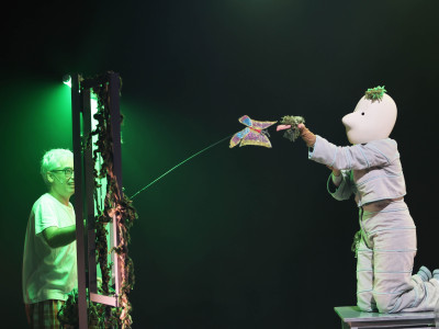 Element 6 de la galeria